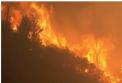 California Wildfire Generic Flames.JPG